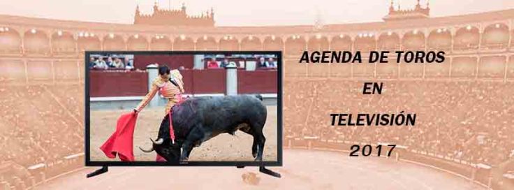 474990_314387391961156_636861389_o