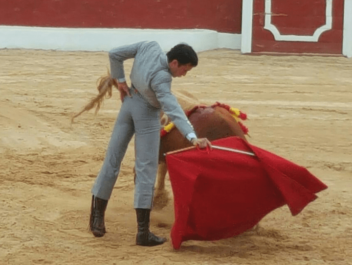 filiberto portada buena