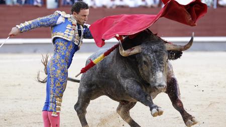 RAFA4-U10107650555FDH--450x253@abc