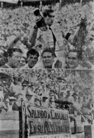 Captura de pantalla (50)