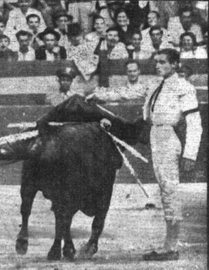 Captura de pantalla (53)