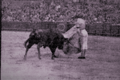 Captura de pantalla (55)