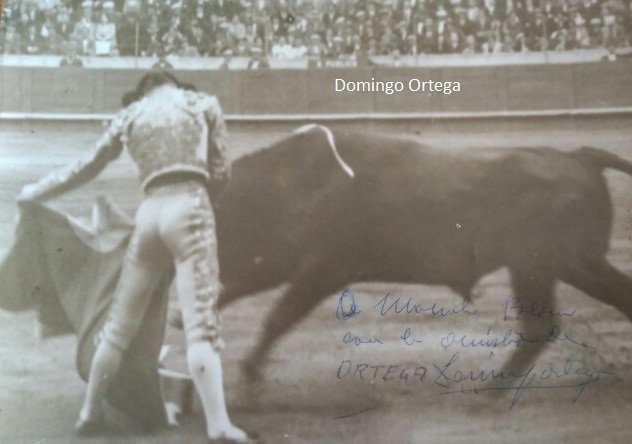 103533568_1510778559