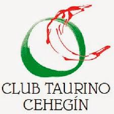 C.T.CEHGIN.-LOGO2