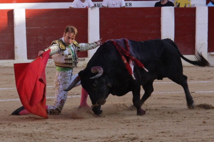 f999x666-30583_125648_0