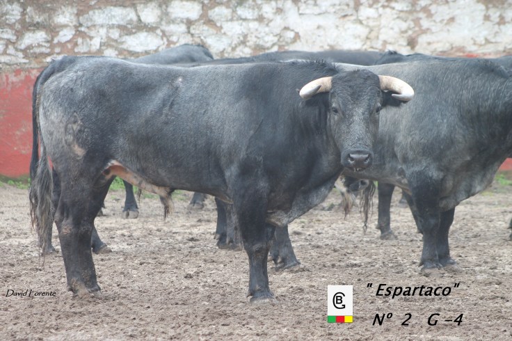 nº 2 guarismo 4 (2)