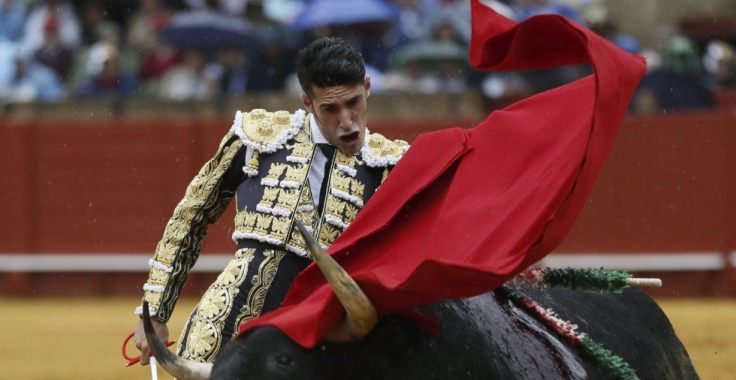 1493381478_096157_1493381842_album_normal