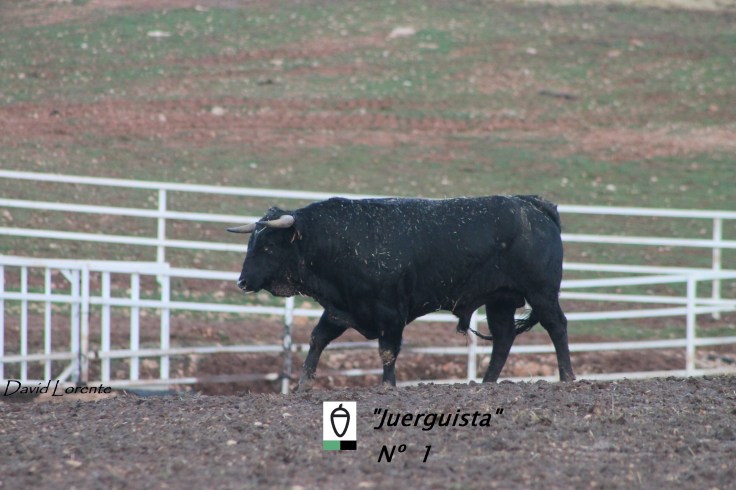 nº 1 Los Chospes (2)