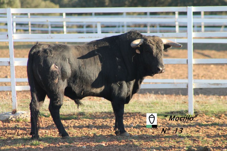 nº 13 los chospes (2)