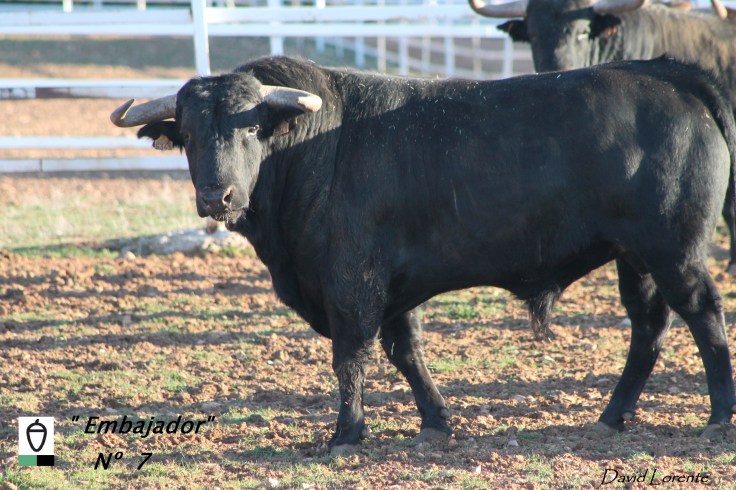 nº 7 los chospes (2)