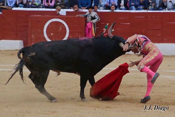 33041408_1922783577743050_8650486565652398080_n