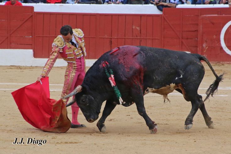 33061387_1922830477738360_7735472172973424640_n