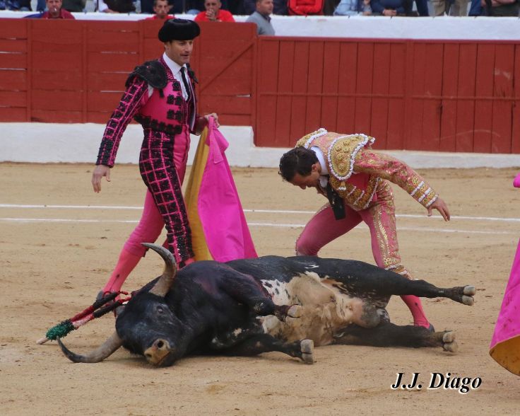 33063572_1922783514409723_6082835088947544064_n