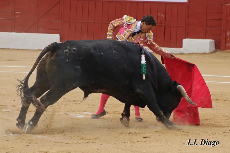 33066045_1922829657738442_3122454718979244032_n