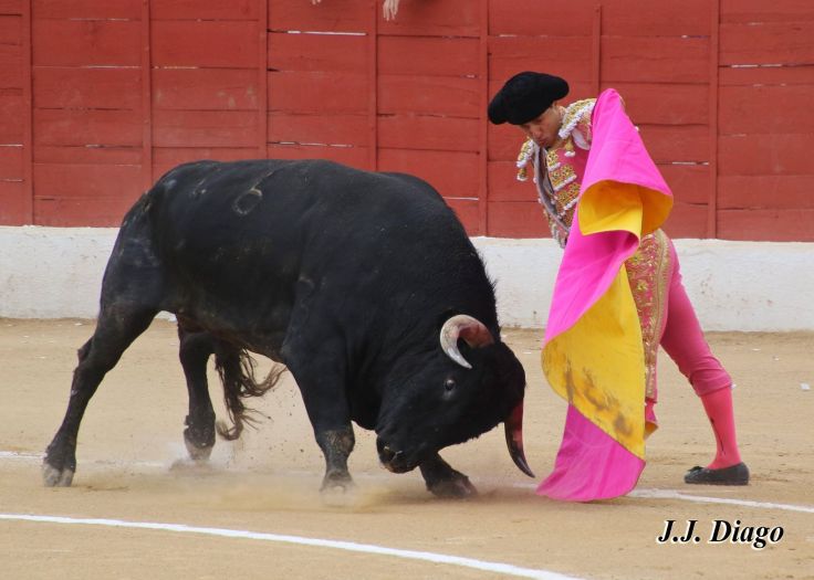 33086878_1922829434405131_3838133855475204096_n