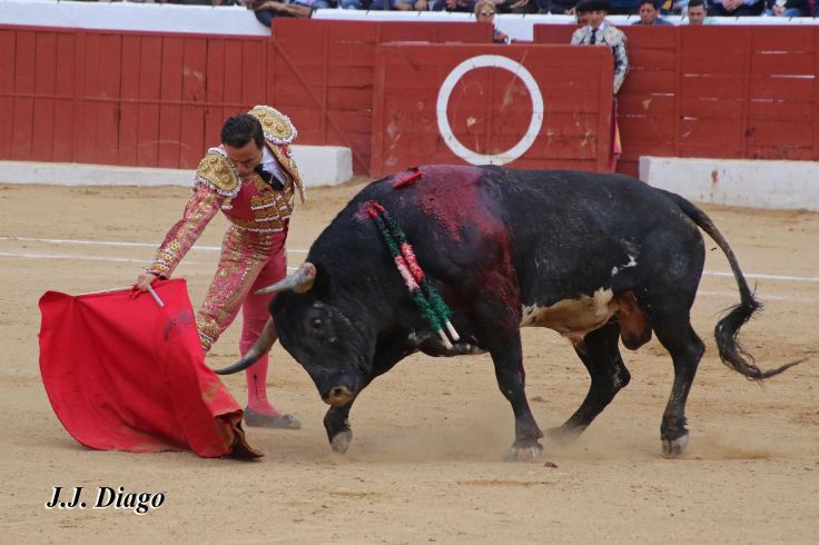 33103057_1922830014405073_156785689491406848_n (1)