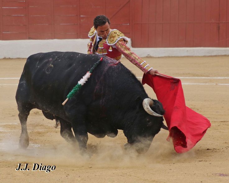 33106777_1922829481071793_8909330736910172160_n