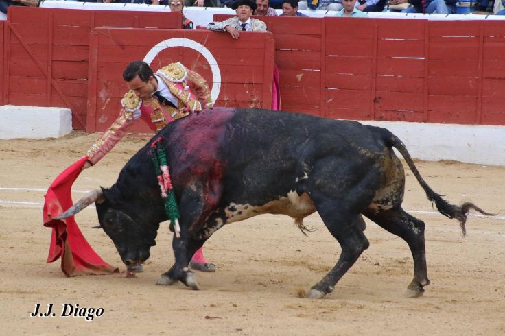 33116225_1922830521071689_9094674707629735936_n