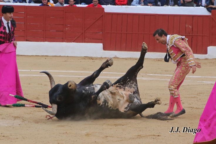 33130360_1922783637743044_3472139024800415744_n