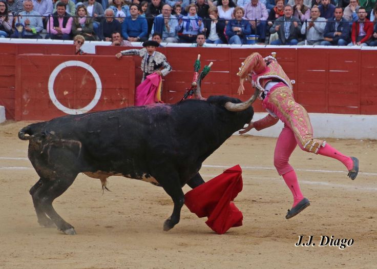 33145756_1922783627743045_5428754553799442432_n