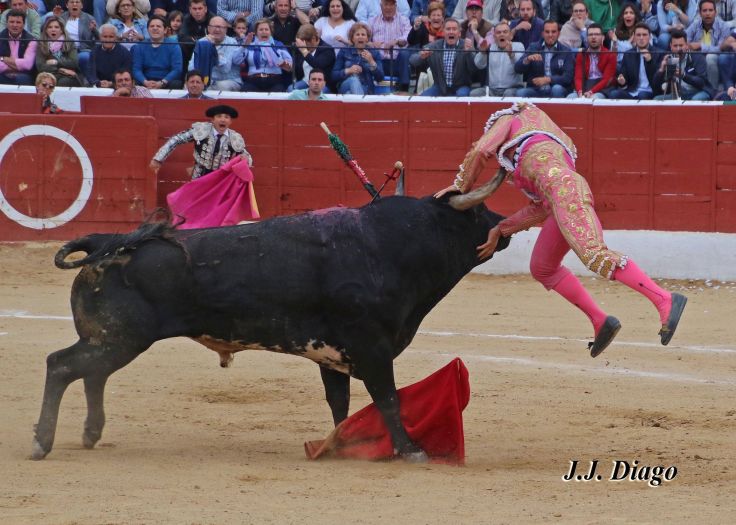 33167038_1922783667743041_6938014333720854528_n