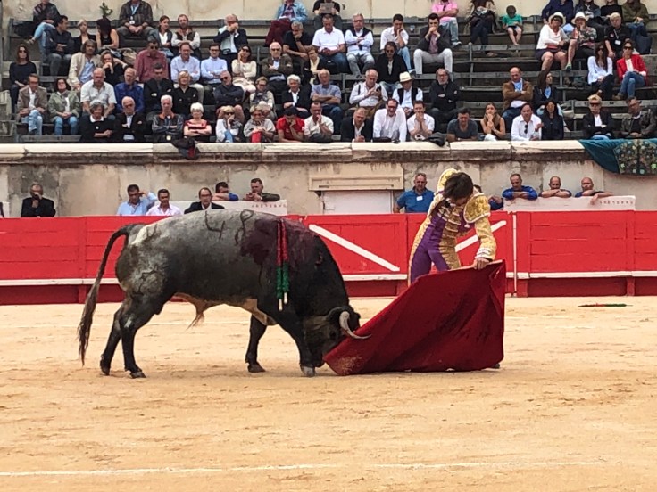 780CE38B-A338-447E-8ACF-842F8B67AA97