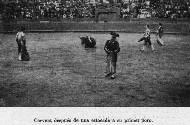 Captura de pantalla (19)