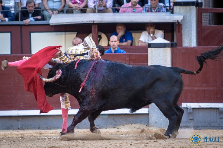 e39052ffcdb32bb28e325ae8494755220da6da3605014c00d4fdc370cbdab2bc