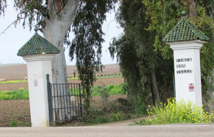 ENTRADA A LA FINCA