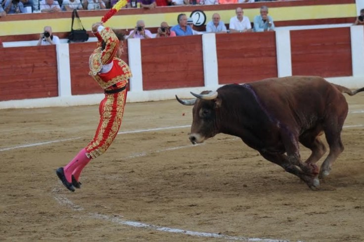 f999x666-87813_182878_25