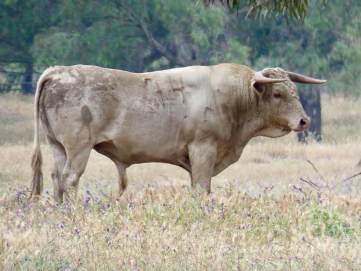 33900827_1858076080879626_2821950885368692736_n