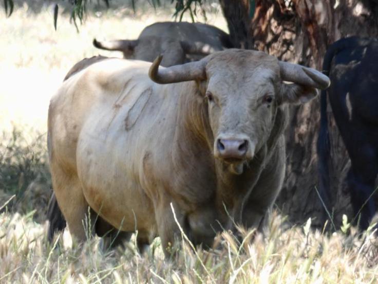 34034762_1859549757398925_3219686898750455808_n