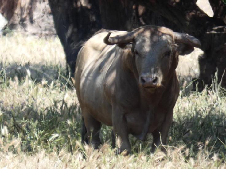 34069101_1859549784065589_4155196347084963840_n