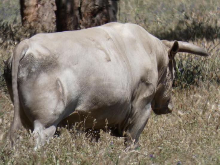 34109674_1859549967398904_5122587496571469824_n