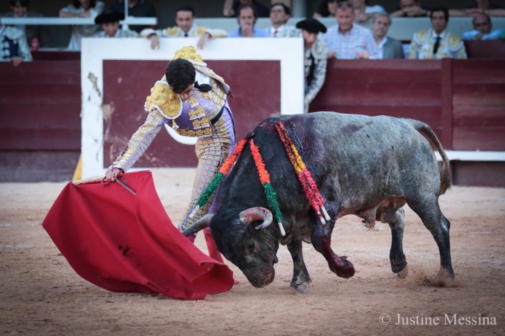 50C30107-6620-4177-A9E5-CA7534C4A963