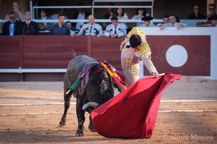 AA2C15A2-F00A-4292-B77A-251556FE6B8E