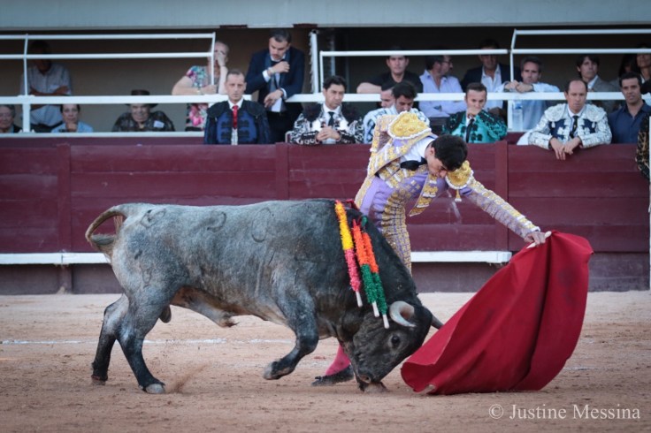 CA6D86DD-3C77-4ECF-BD7B-B95E0752DD9D