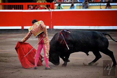 rafaelillo bilbao II