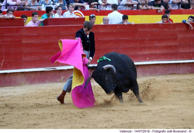 37118275_1746903698690166_5853835292514975744_o