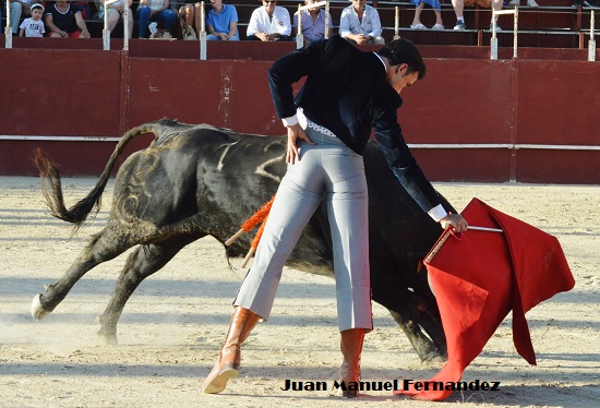 filiberto-algarinejo-3