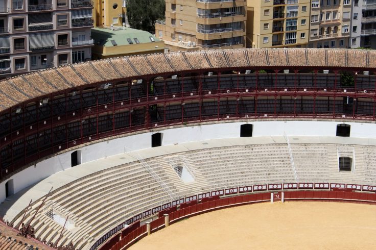 IMG_2437-e1499002644871