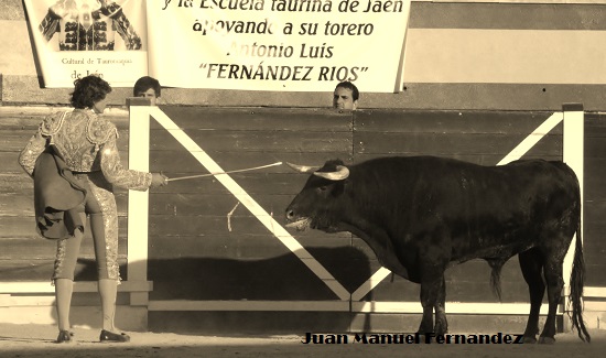 jorge-villacarrillo-8