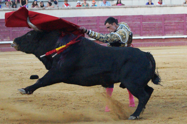 Toros-Ureña-1