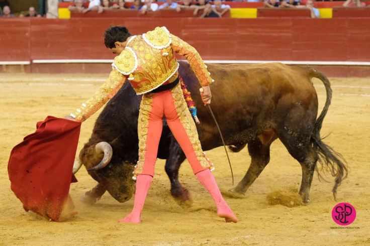 WhatsApp-Image-2018-07-28-at-22.16.11