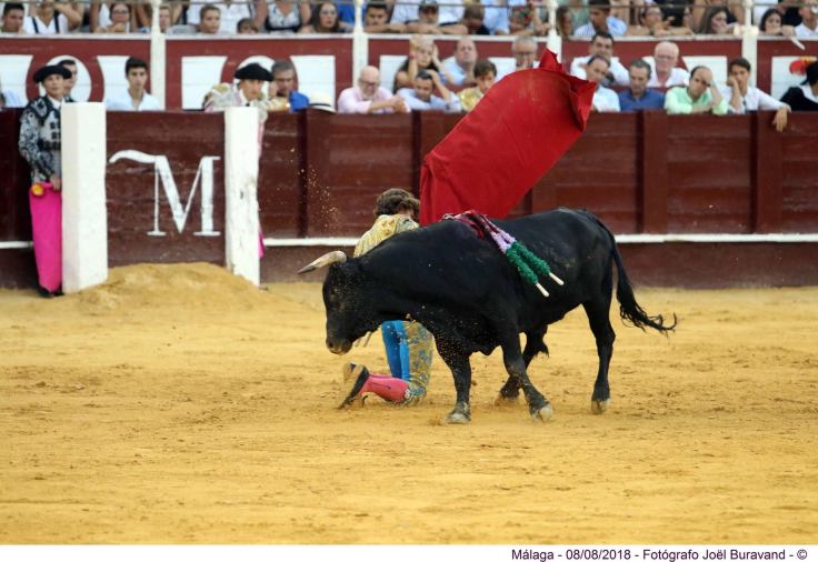 38851122_1787197411327461_8319022194000658432_o