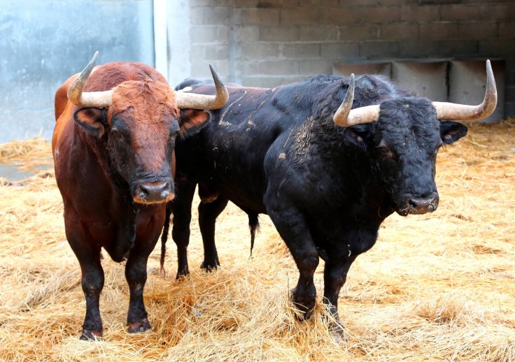 38884800_2177380292335651_8625751226224476160_o