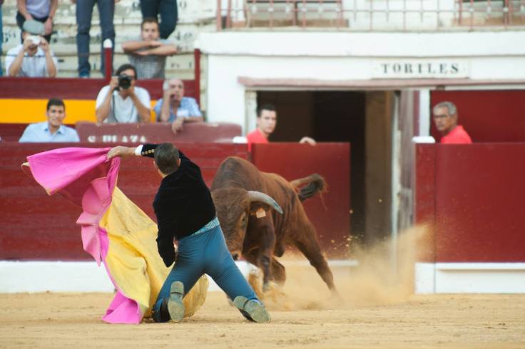 A1-54974993_xoptimizadax