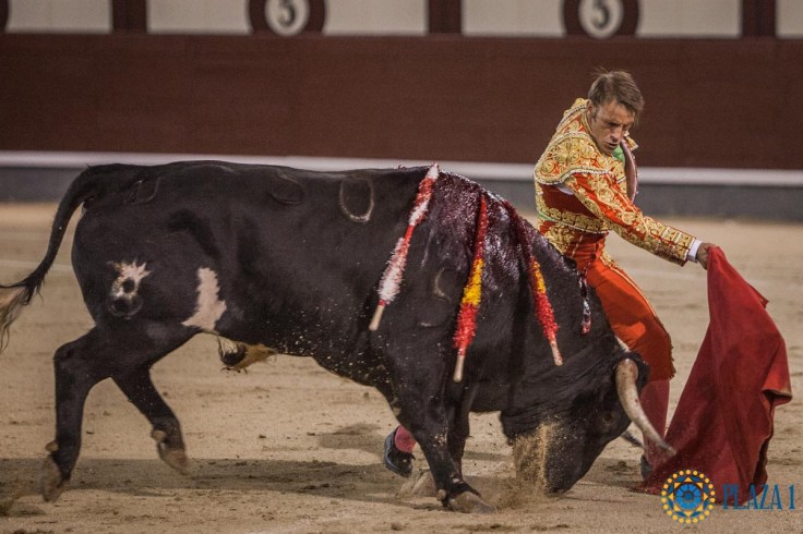 a95cf904749f6c2a0e6c923a5760f68c42272660c025614c62f54db35780d7a6