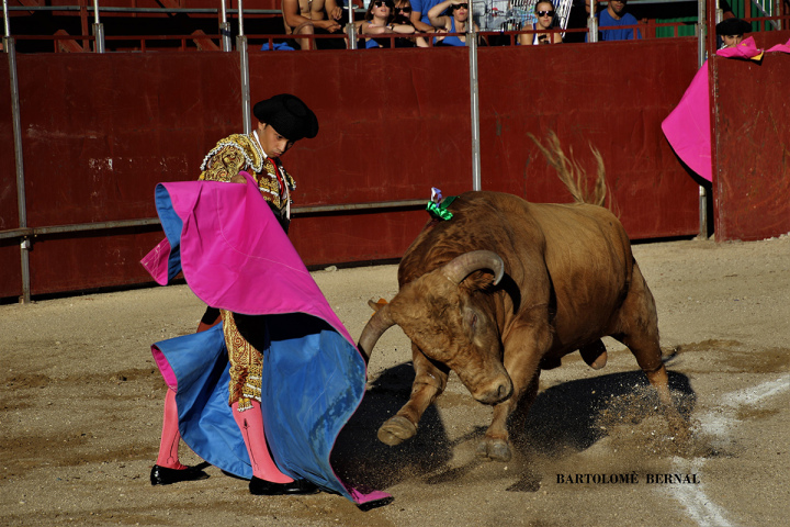 fran ferrer nueva.jpg