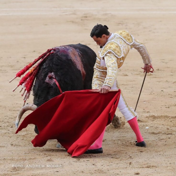 Puerto-San-Lorenzo-AMWEB-WM-1410-e1526454535155